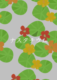 Nasturtium edible flower