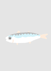 mackerel blue fish