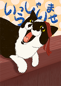 Neko Sama