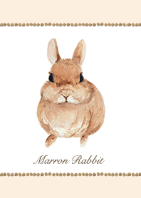 The rabbit "Marron"