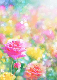 Beautiful rose flower(R5360)