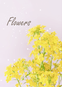 軽やかな幸せ春の菜の花・1