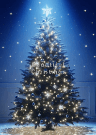 Beautiful Christmas-STAR 5
