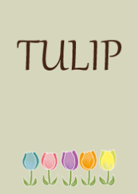 tulip*郁金香