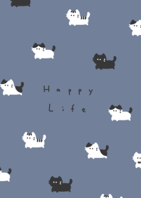 .แมว.  gray blue