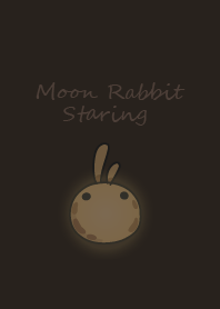 moon rabbit staring - 01