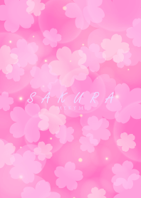 SAKURA -Cherry Blossoms- PINK 13