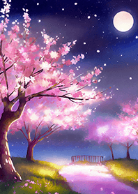 Beautiful night cherry blossoms#41
