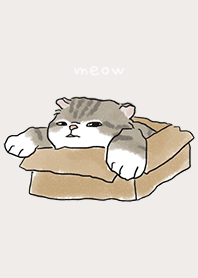neko drawing1 / light beige