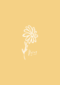 雛菊_黃色