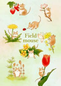Field mouse illustration (spring)