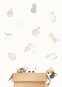 Cats hide and seek_Pink