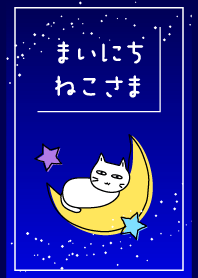 まいにち、ねこさま11