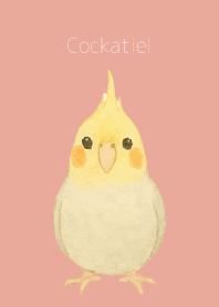 Cute Cockatiel on pink & blue