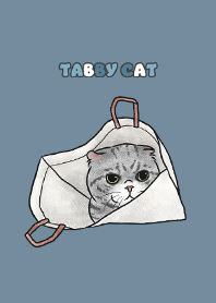 tabbycat8 / denim .jp