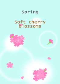 Spring<Soft cherry blossoms>