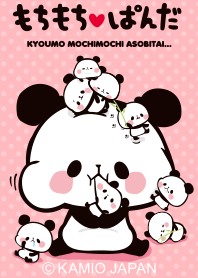 Mochi mochi Panda