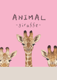 ANIMAL - Giraffe - SWEET PINK
