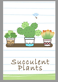 Succulent Plants paper