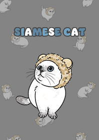 siamesecat6 - dark grey