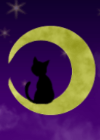 Black cat and moon