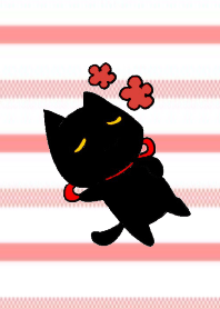 black playful kitten2