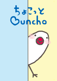 ちょこっと白文鳥!