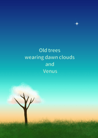 Old trees wearing dawn clouds and Venus
