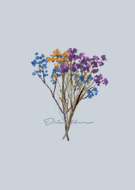 Beige Blue: Bunga kering