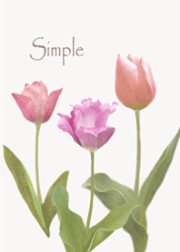 Gentle Tulip1.