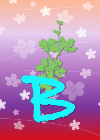 ~cherry blossoms initial B~