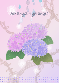 ▪️Amethyst Hydrangea▪️