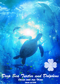 幸運のホヌと幸運の使者のイルカ 運気最強