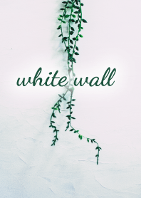 white wall