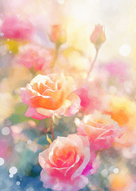 Beautiful rose flower(R2943)