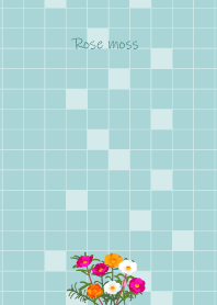 August's birth flower,Rose moss