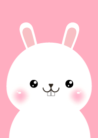 Simple White Rabbit Theme Ver.2