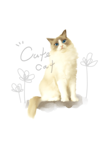 Ragdoll simple.