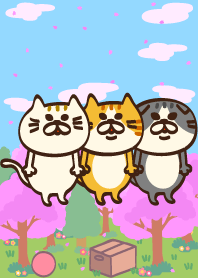 I want to say Meowing 3nd.