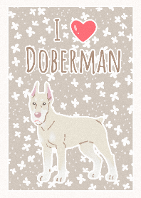 Doberman (Putih)