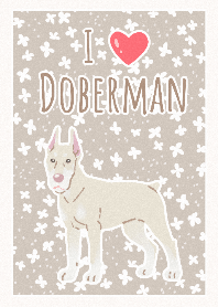 Dobermann (branco)