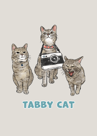 tabbycat11 / linen