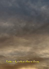 Fools only notice others' flaws.