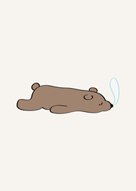 부드러운 갈색 곰