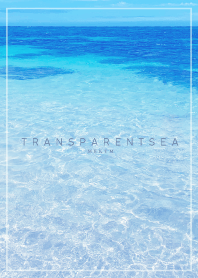 TRANSPARENT SEA -MEKYM- 22