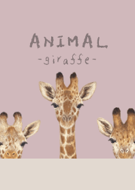 ANIMAL - Giraffe - DAWN PINK