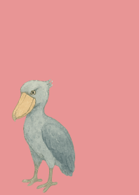 I am a shoebill on light pink