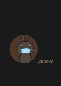 rabbit staring - 150 - choose - 2