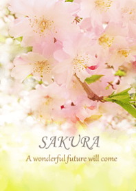cherry blossoms that bring happiness.5.