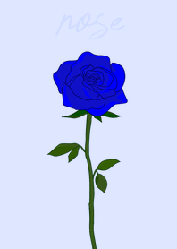 a rose(blue)